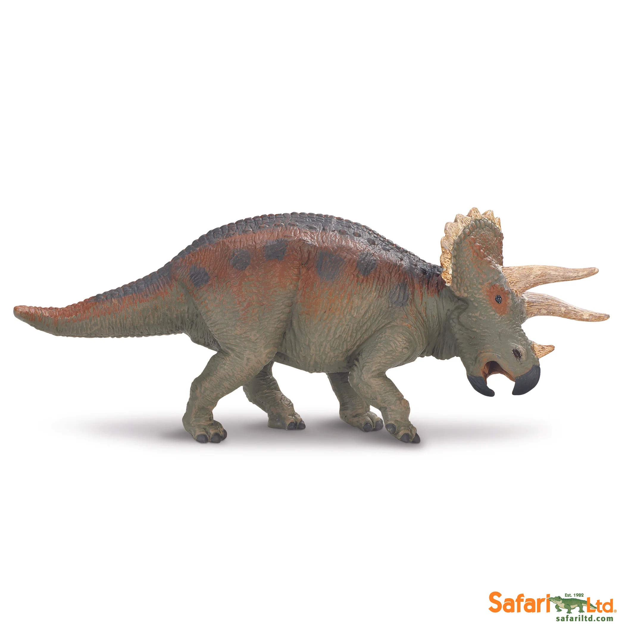 Great Dinosaur - Triceratops — DeJankins